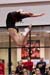 10Sneak2D_00669_ShaylaW