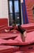 10Sneak4D_00938_LindseyC