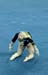 11NCAAR3K_08349_KaylaCarto