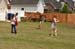 11Scrap_13710
